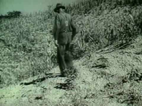 Alabama - Song of the South