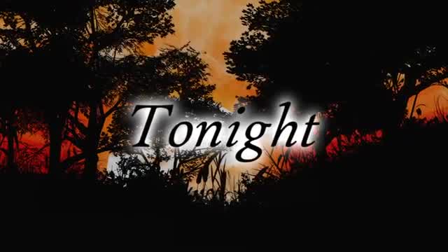 Andy Williams - Tonight