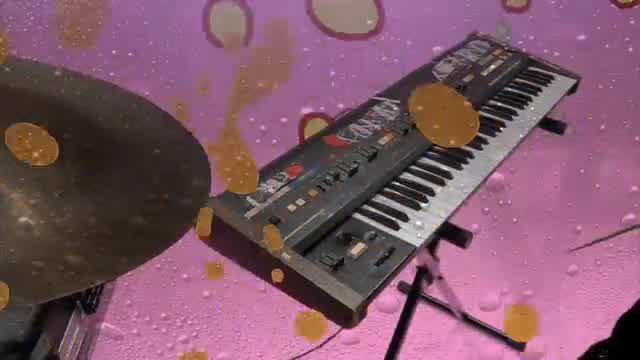 Animal Collective - My Girls