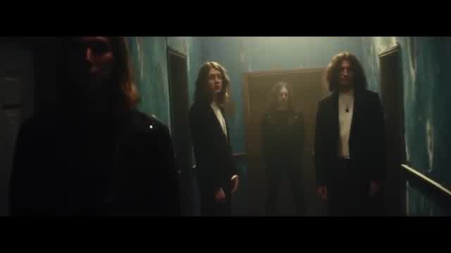 Blossoms - Charlemagne