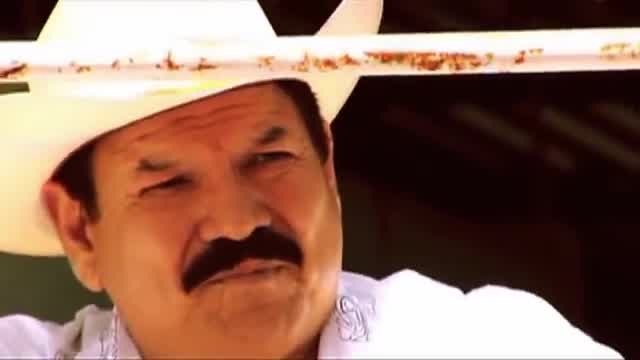 Cardenales de Nuevo León - No te extraño