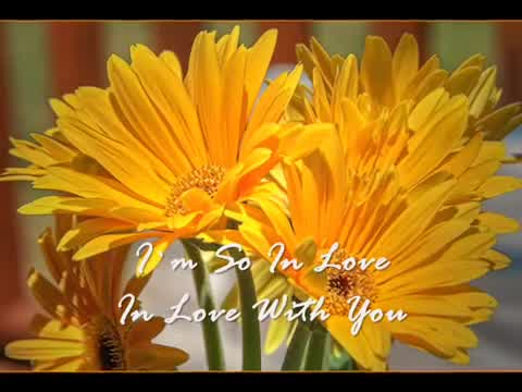Dana Winner - In Love With You