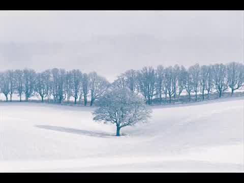 Enya - Amid the Falling Snow