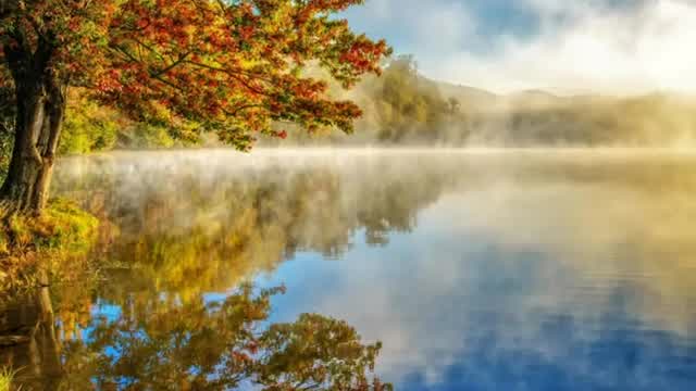 Franz Schubert - Serenade