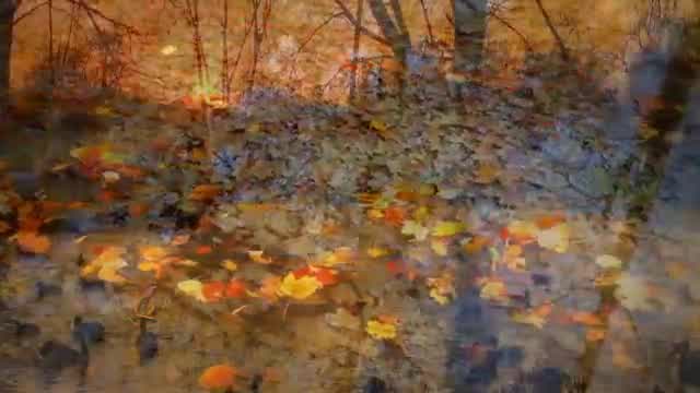 Giovanni Marradi - Autumn Leaves