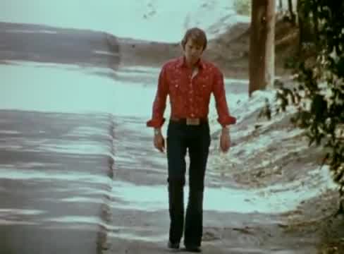 Glen Campbell - Rhinestone Cowboy