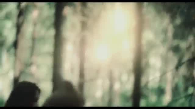 Insomnium - Through the Shadows