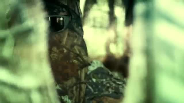 Kid Rock - Redneck Paradise