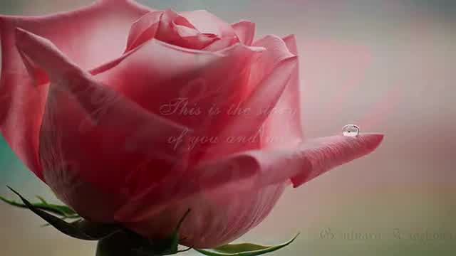 Luther Vandross - Buy Me a Rose