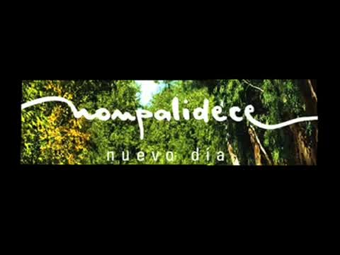 Nonpalidece - La flor