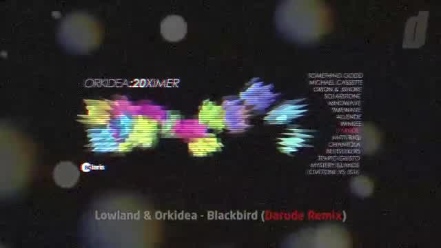 Orkidea - Blackbird