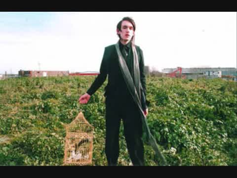Patrick Wolf - The Marriage