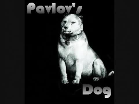 Pavlov’s Dog - Only You