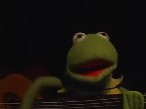 Sad Kermit - Needle in the Hay