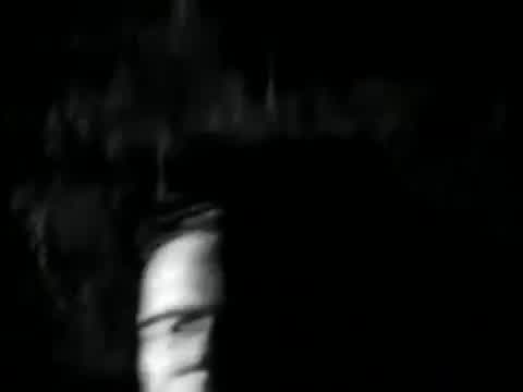 Skinny Puppy - Stairs and Flowers