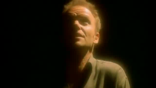 Sting - Fields of Gold