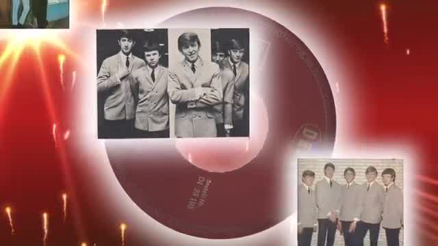 The Fortunes - You've Got Your Troubles