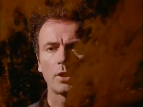 The Stranglers - Always the Sun