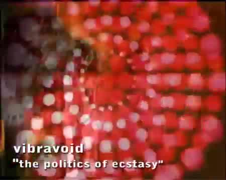 Vibravoid - The Politics of Ecstasy