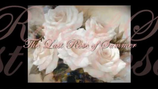 John McDermott - The Last Rose of Summer