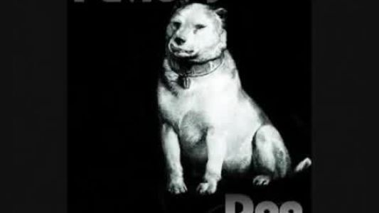 Pavlov’s Dog - Only You