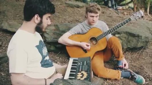 Pinegrove - Old Friends