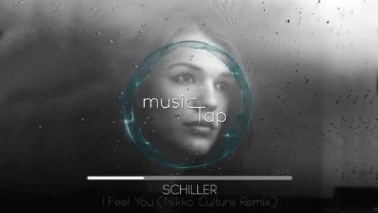 Schiller - I Feel You